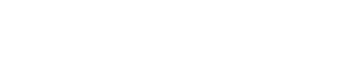 DigitalShore logo